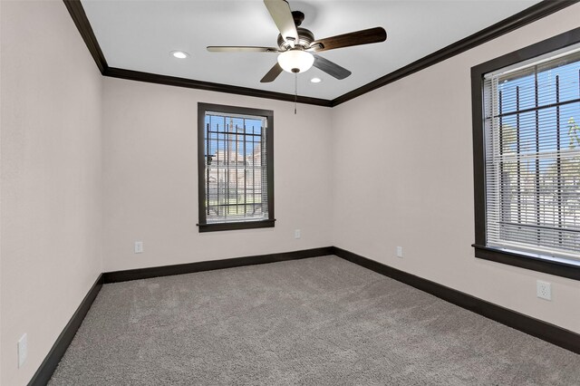 spare room featuring carpet floors, baseboards, and ornamental molding