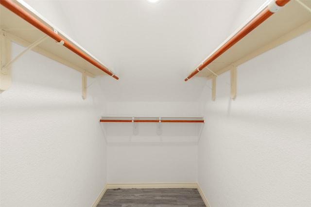 spacious closet featuring wood-type flooring