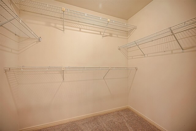 2810 Pineleaf Dr, Sugar Land, TX 77479 - spacious closet with carpet flooring