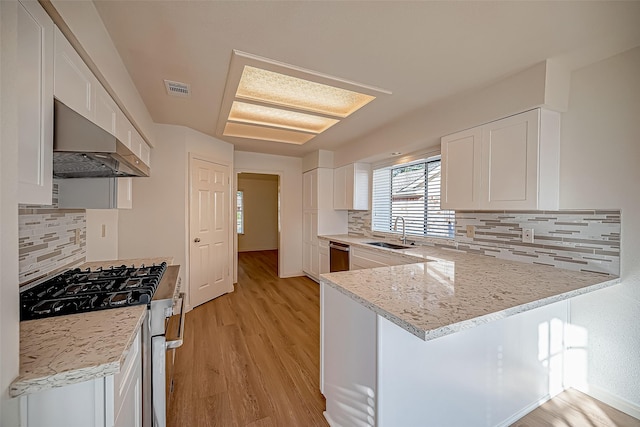 2810 Pineleaf Dr, Sugar Land, TX 77479 - kitchen featuring a sink, stainless steel appliances, light wood finished floors, and tasteful backsplash