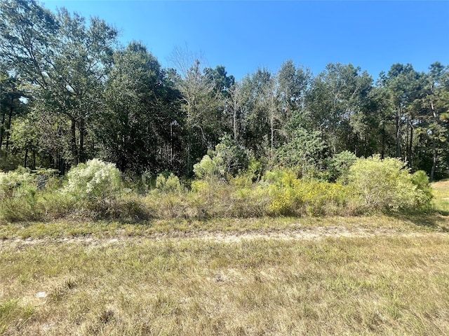 154 Rd 5268, Cleveland TX, 77327 land for sale