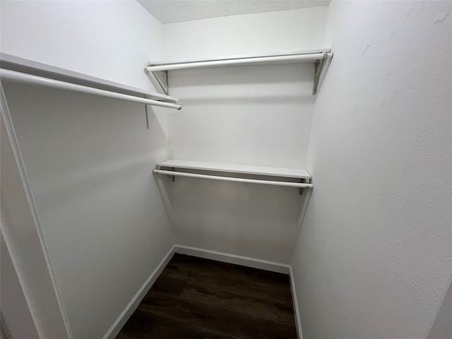 walk in closet with dark hardwood / wood-style floors