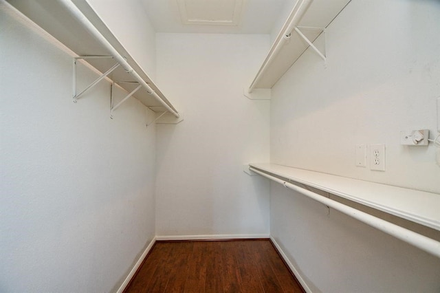 walk in closet featuring dark wood-type flooring