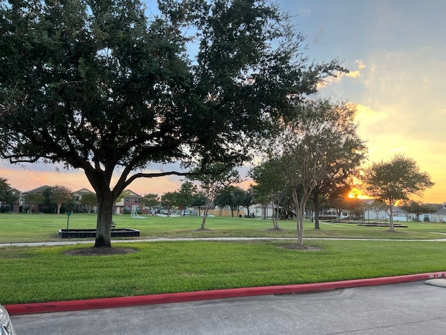 view of community featuring a yard