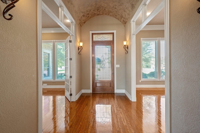 entrance foyer with lofted ceiling, wood-type flooring, plenty of natural light, and baseboards