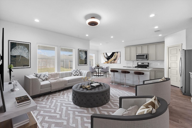 living room with wood-type flooring and sink