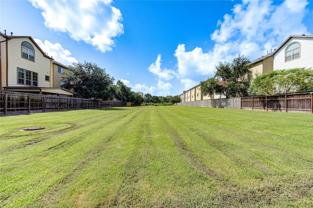 view of yard