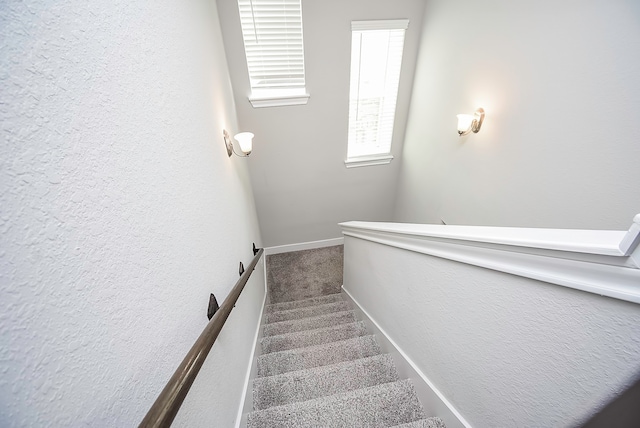 staircase with carpet flooring