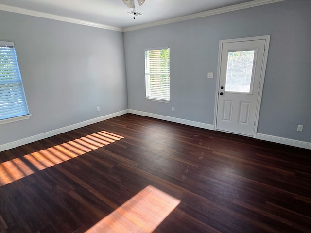 spare room with ceiling fan, dark hardwood / wood-style floors, crown molding, and a wealth of natural light