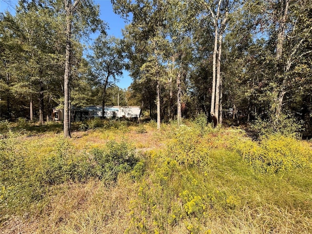tbd Somerset, Livingston, TX 77351