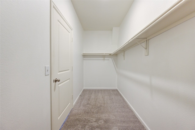 walk in closet with light carpet