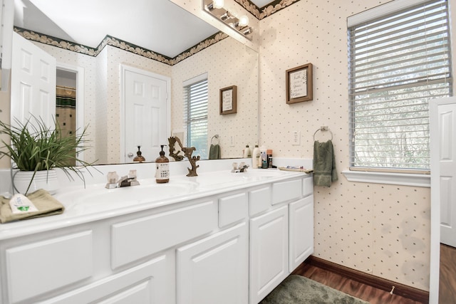 bathroom featuring wood-type flooring, vanity, and a healthy amount of sunlight