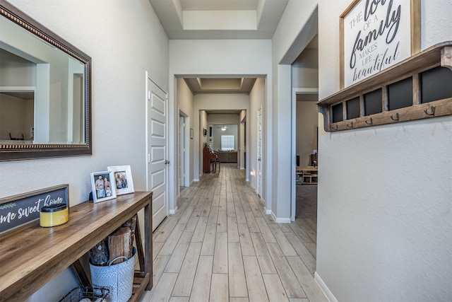 hallway with light hardwood / wood-style flooring and a tray ceiling