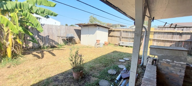 view of yard with a shed