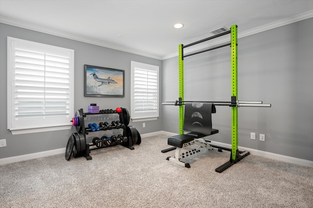 workout area featuring crown molding and carpet