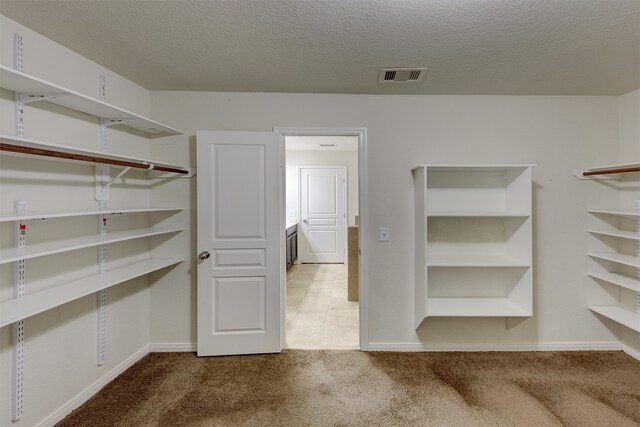 walk in closet with carpet