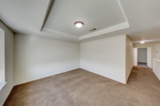 carpeted spare room featuring a tray ceiling