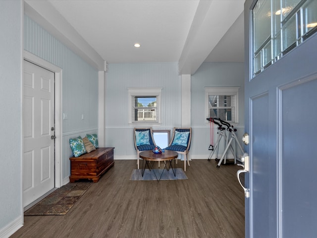 entrance foyer featuring dark hardwood / wood-style flooring