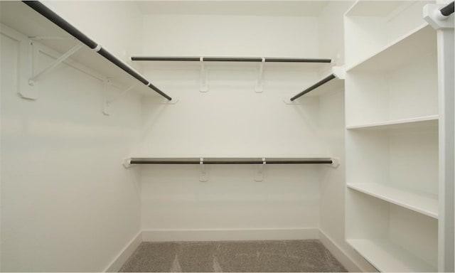 spacious closet with carpet