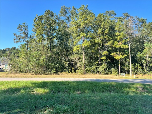 1001 Rd 6609, Dayton, TX 77535