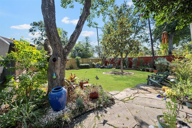 view of yard with a patio area