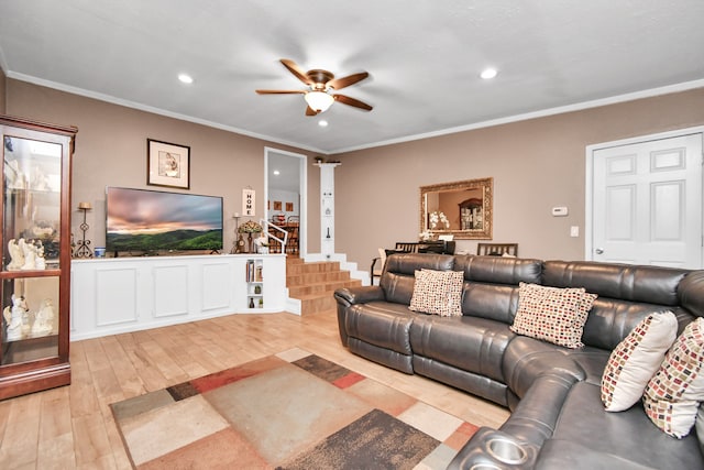 living room with ceiling fan, crown molding, and light hardwood / wood-style flooring