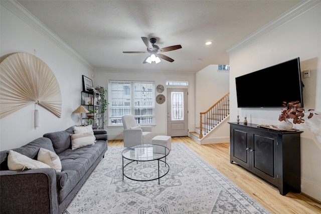 living room with light hardwood / wood-style floors, crown molding, and ceiling fan