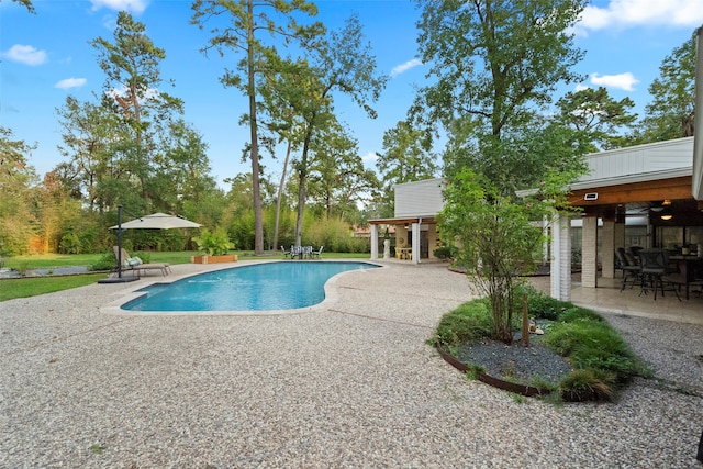 view of swimming pool featuring a patio area