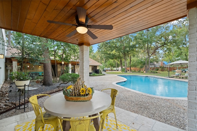 view of pool with a patio and ceiling fan