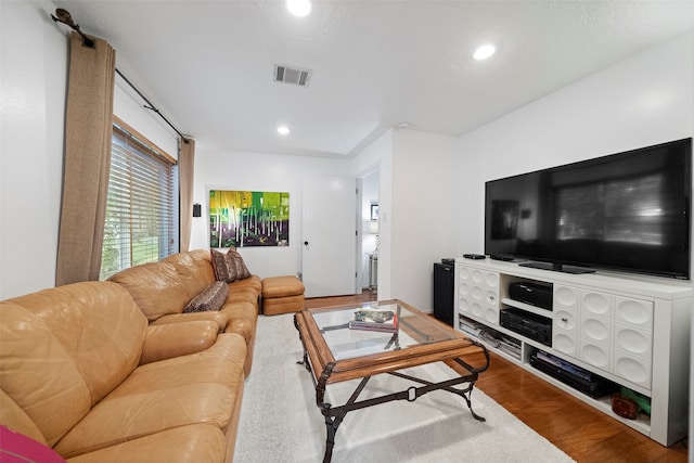 living room featuring hardwood / wood-style floors