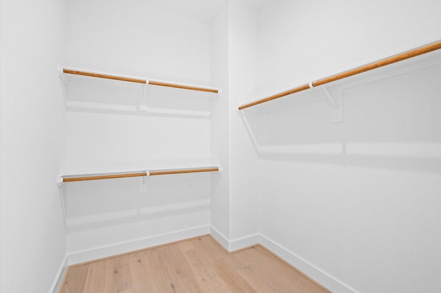 spacious closet featuring wood-type flooring