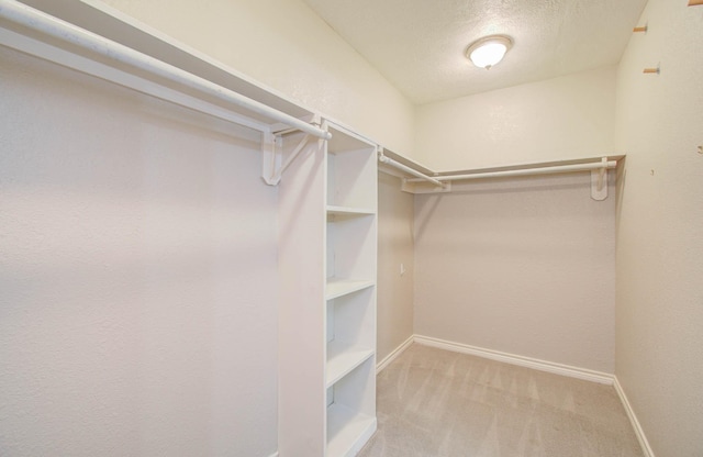 walk in closet featuring light carpet