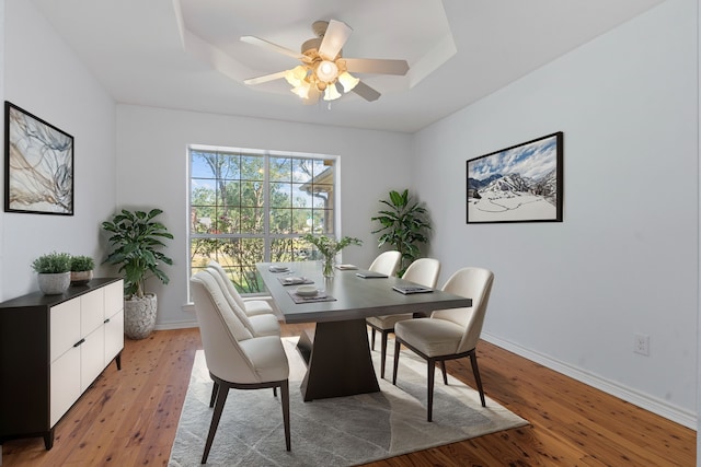 dining area featuring light wood-type flooring, ceiling fan, and a tray ceiling