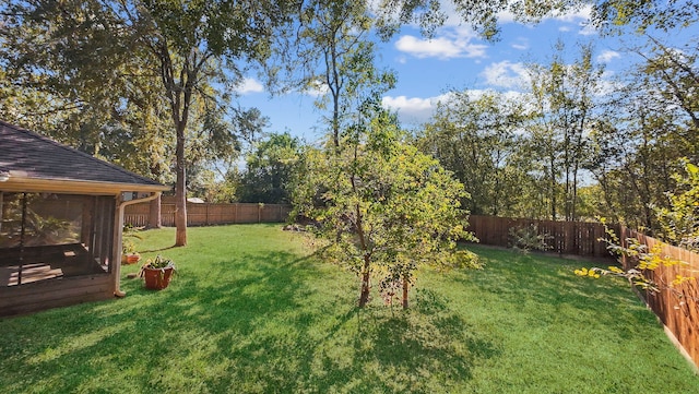 view of yard featuring a sunroom