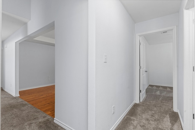 hallway featuring carpet flooring