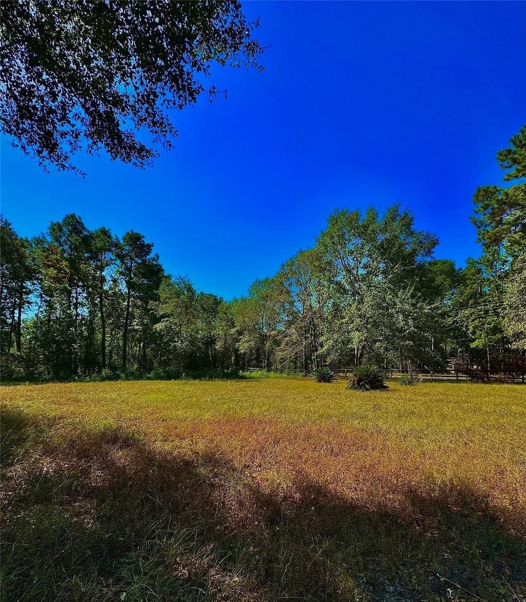7300 Hoda Dr, Conroe, TX 77303 - photo 2