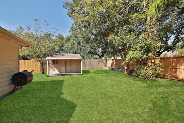 view of yard with a storage unit