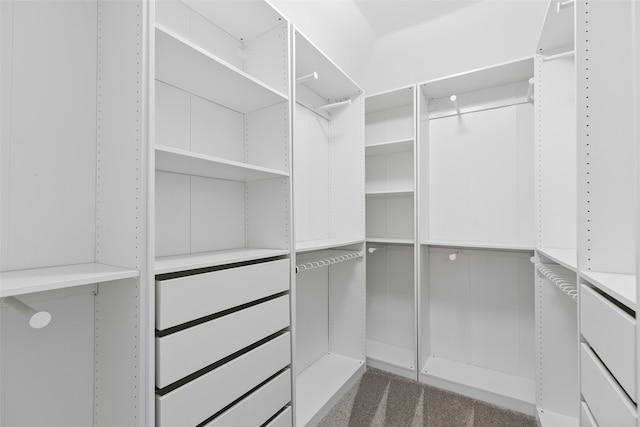 spacious closet with dark carpet