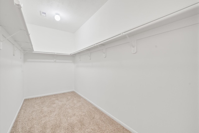 10 Garden Ridge Ct, Manvel, TX 77578 - walk in closet with carpet flooring