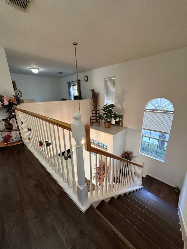 stairway featuring wood-type flooring and a wealth of natural light