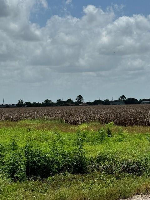 5225 Fenske Ln, Needville, TX 77461 - photo 2