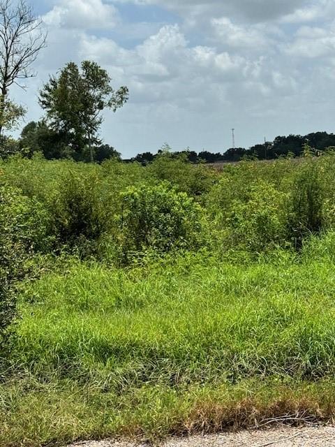 5225 Fenske Ln, Needville, TX 77461 - photo 3