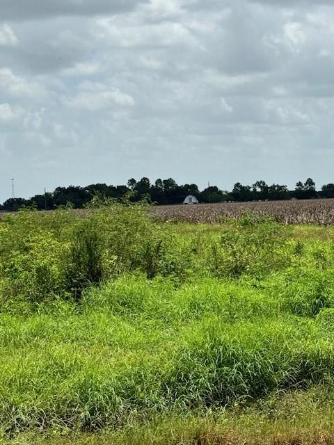 5225 Fenske Ln, Needville, TX 77461 - photo 4