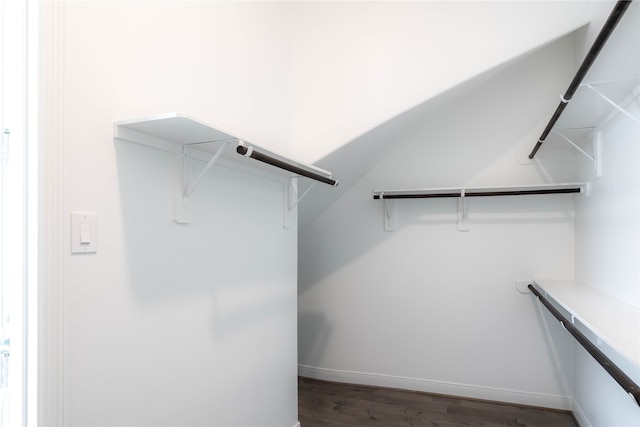 walk in closet featuring dark wood-type flooring