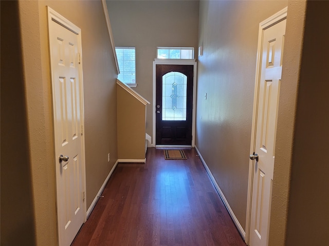 doorway featuring dark hardwood / wood-style flooring