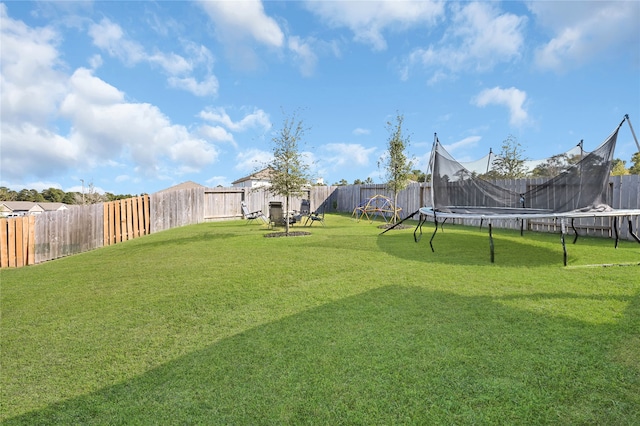 view of yard with a trampoline