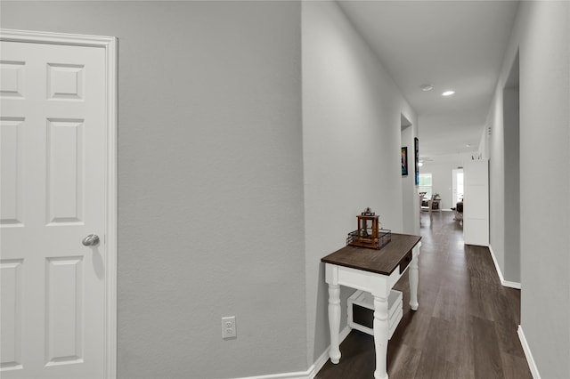 corridor featuring dark hardwood / wood-style floors