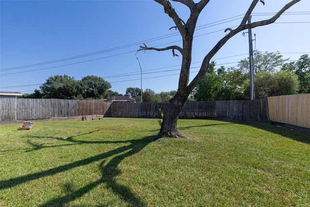 view of yard