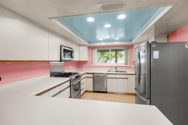 kitchen featuring a raised ceiling, white cabinetry, sink, ornamental molding, and stainless steel appliances