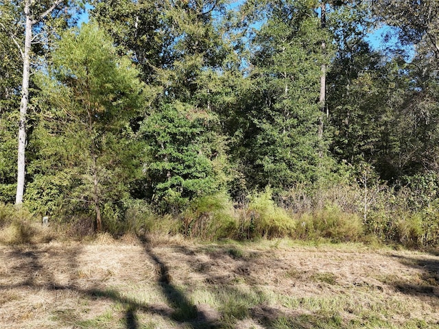 Listing photo 2 for 0 Sky Oak Ln, Huntsville TX 77340